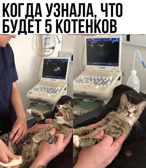   - 31  2022  03:37