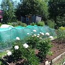 ���� ��������, �����, 72 ���� - ��������� 28 ���� 2022 � ������ ���� ����������