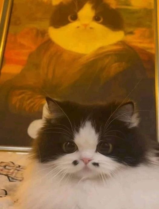  ,   !!!