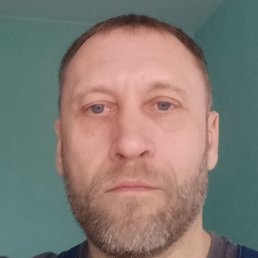 ����, ����, 51 ���