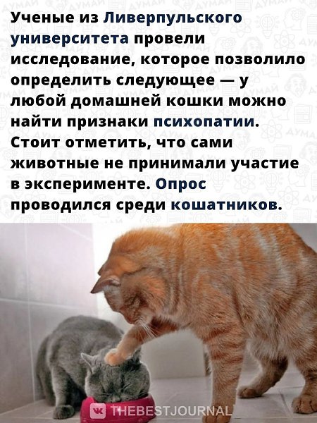 Теперь всё стало на свои места! Все наши опасения подтвердились. - 2