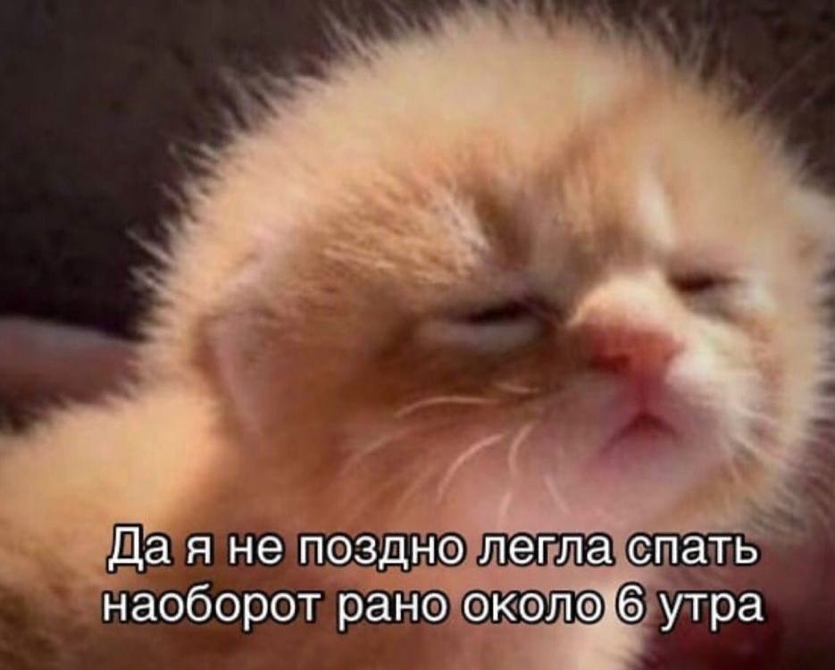    - 19  2022  00:24