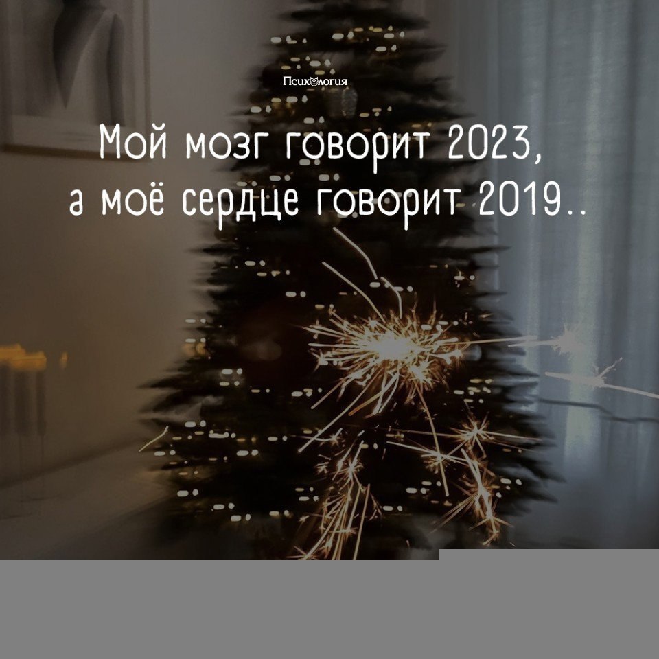   2023