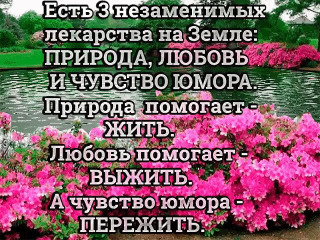  ,    . - 2  2022  17:22