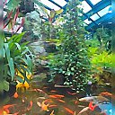 ���� ���������, ������, 50 ��� - ��������� 12 ������ 2023 � ������ ���� ����������