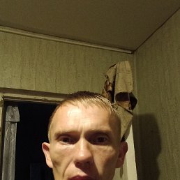 , 41, -