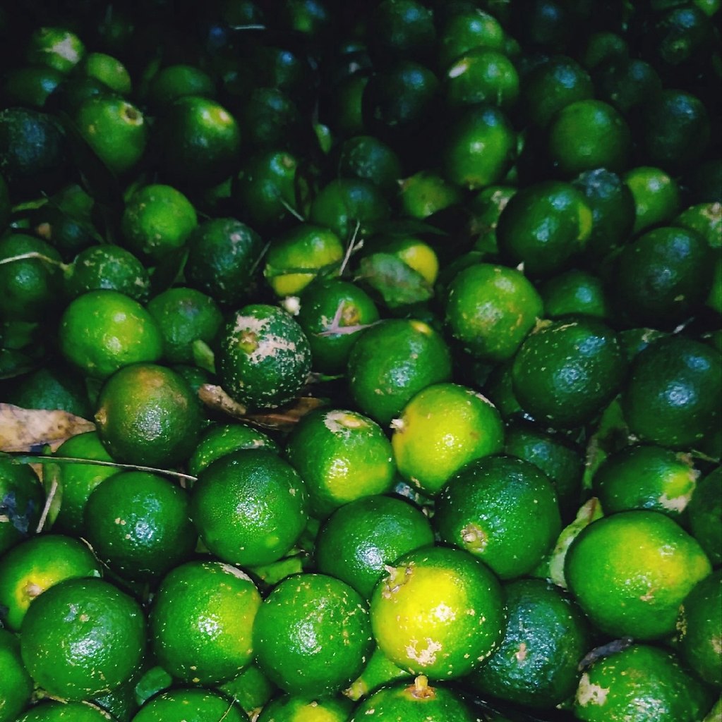 Calamansi (). ,   .# #calamansi # ... - 3