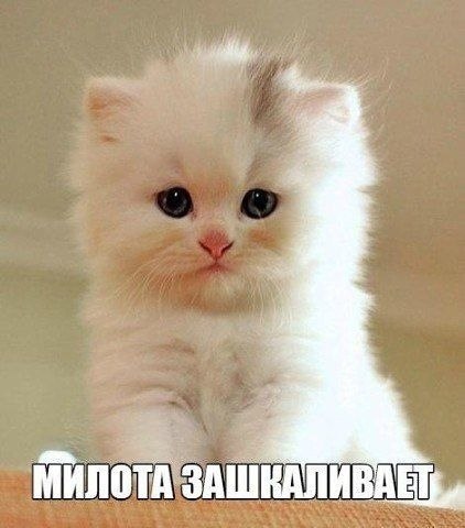    - 9  2022  22:39