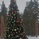 ���� �����, ������, 59 ��� - ��������� 8 ������� 2023