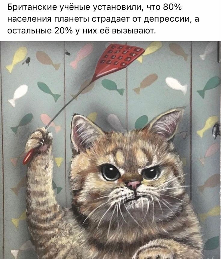   ! - 28  2022  10:36