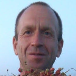 ����, ���������, 49 ���