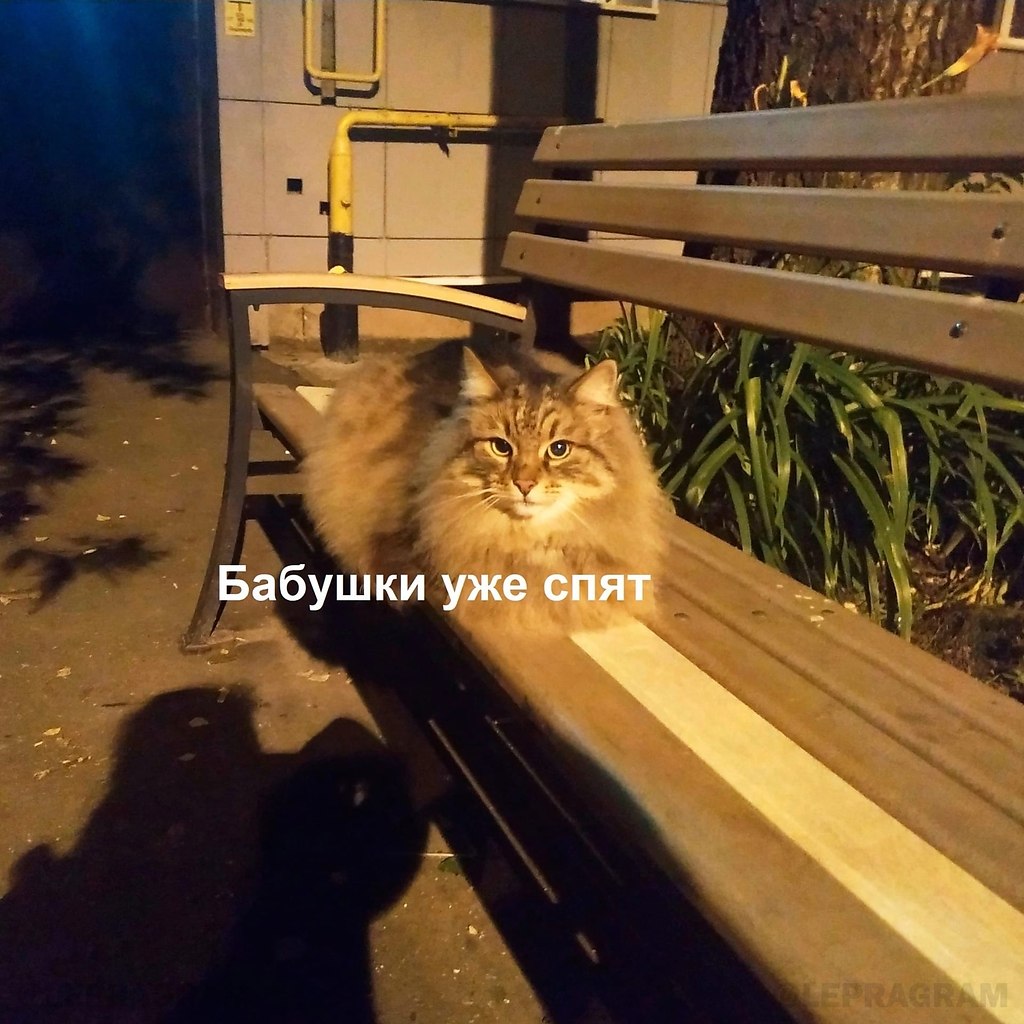 ,   