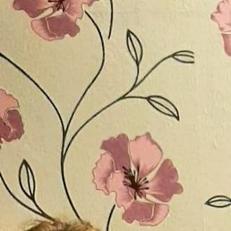 ����, ����������, 69 ���