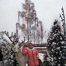 ������, ������, 51 ���