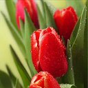 ���� ����, ���������, 44 ���� - ��������� 13 ������� 2022