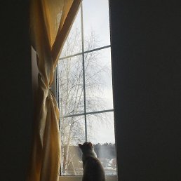 �������, ��������, 54 ����