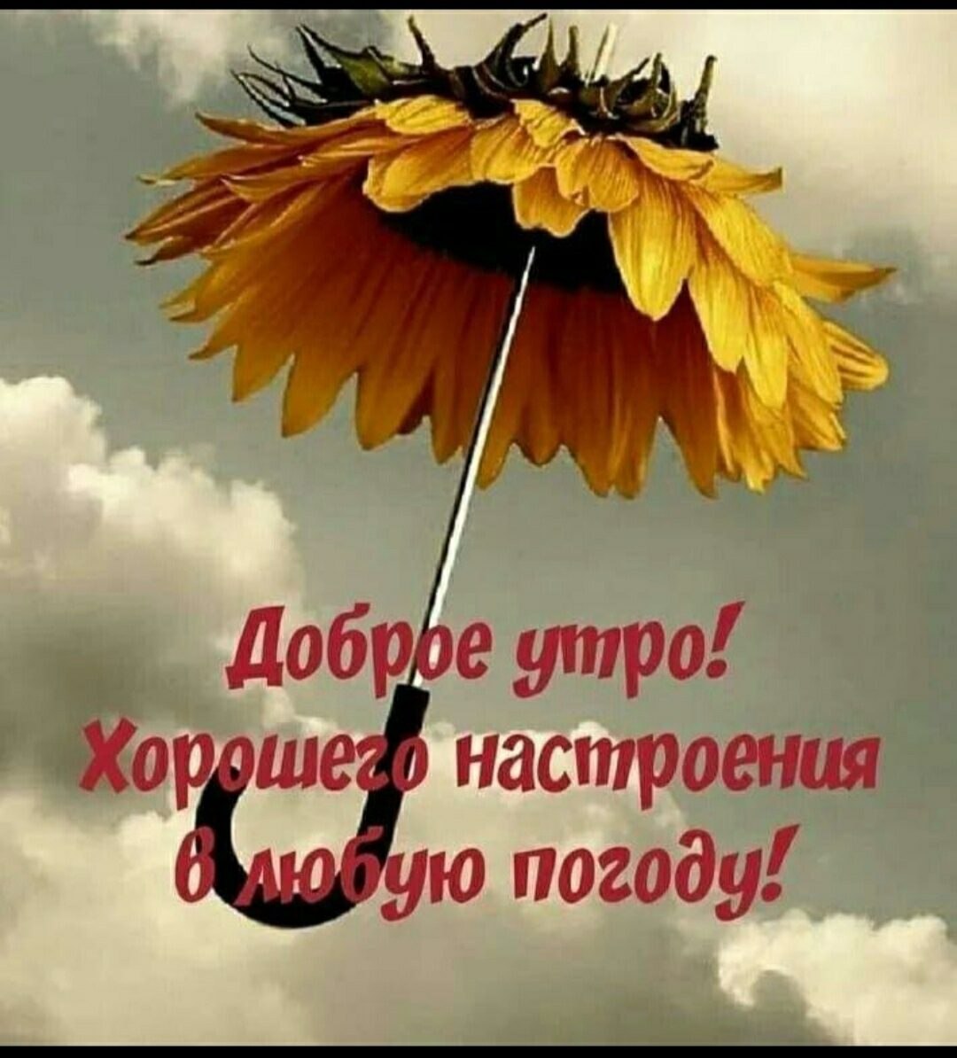 ***Victoria Viktorovna*** - 29  2022  03:47 - 2