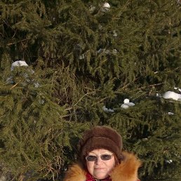 ���� �������, ������� �����, 71 ��� - ��������� 14 ������ 2023