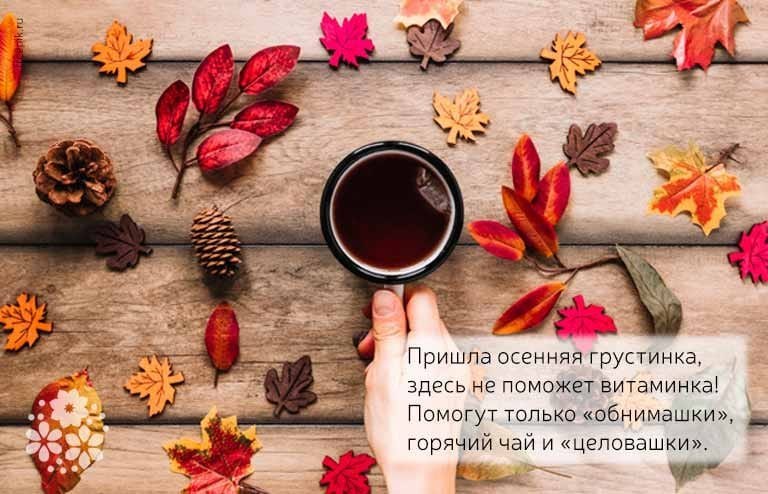   - 15  2022  05:43