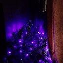 ���� ���������, ������, 44 ���� - ��������� 21 ������ 2023 � ������ ���� ����������