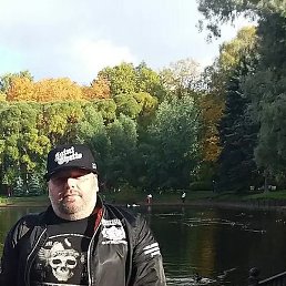 , , 44 