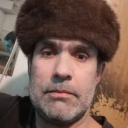 �����, ������� �����, 41 ���