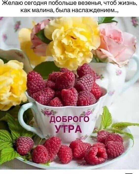 ***Victoria Viktorovna*** - 25 мая 2022 в 04:13