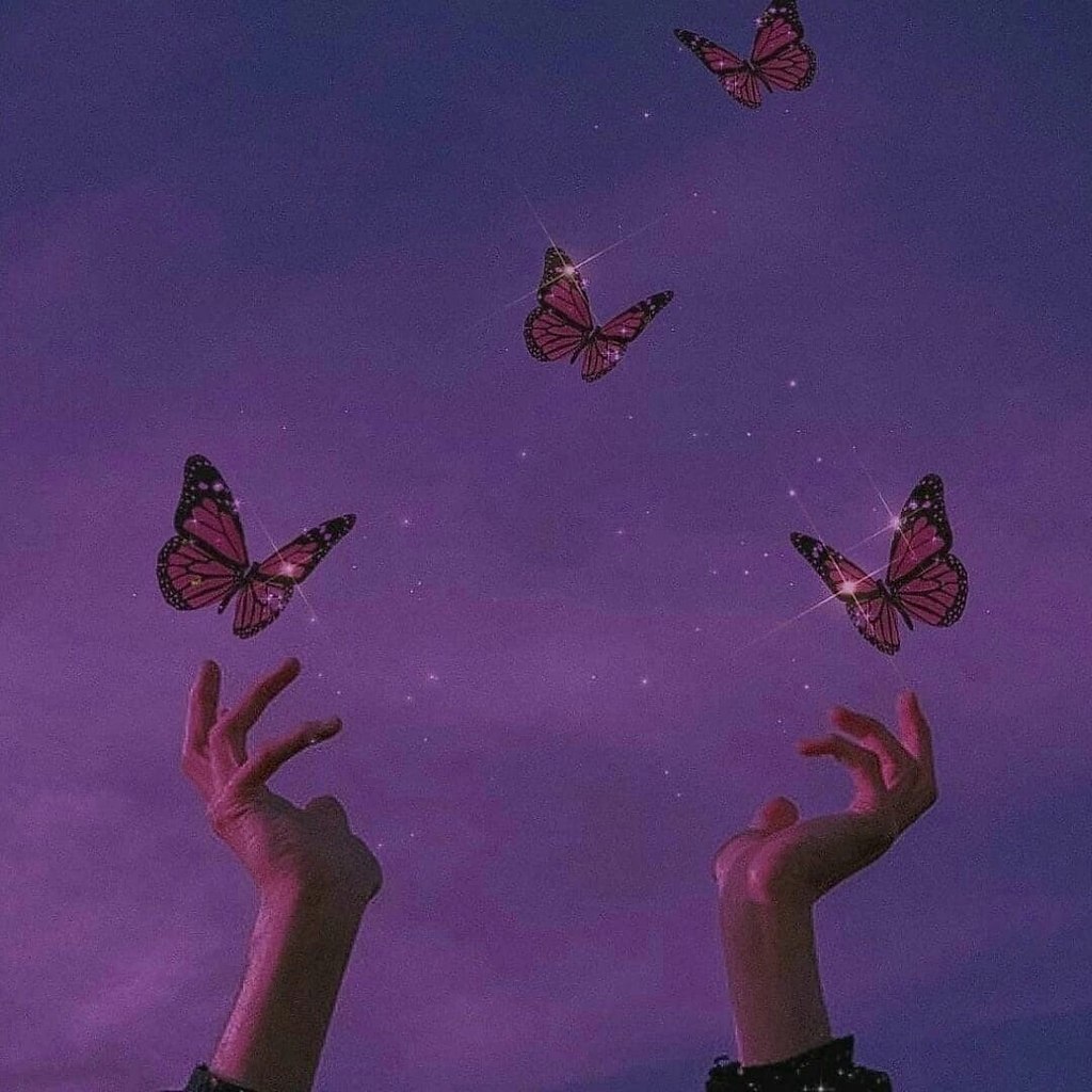      ...    ...     ,    ...