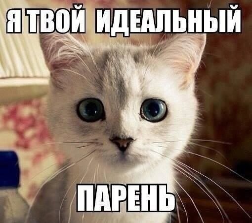    - 10  2022  11:23