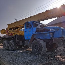 �, ����������, 49 ���