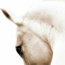  , -, 62  -  23  2022    