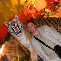 �����, ������, 56 ���