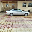 ���� �����, ������, 41 ��� - ��������� 5 ������� 2023