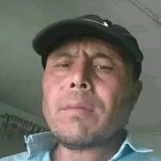 , 54 , 