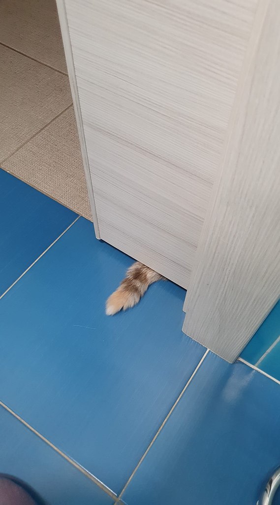   ,    )