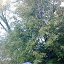 ���� ������, ������-��-����, 40 ��� - ��������� 13 �������� 2022