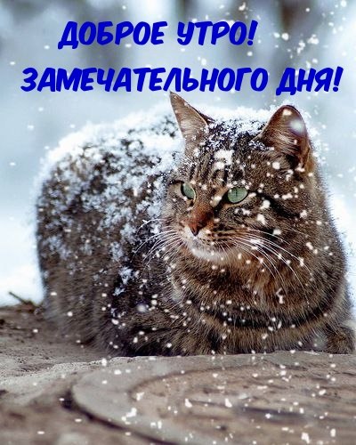   ,    . - 17  2023  22:58