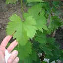 ���� �����, �����������, 47 ��� - ��������� 13 ���� 2022 � ������ ������ ��������