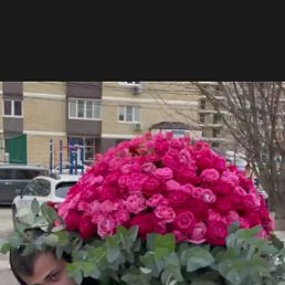 ��������, �����-���������, 49 ���