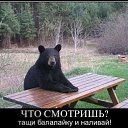 ���� �����, ����, 46 ��� - ��������� 14 ������� 2022 � ������ ���� ����������