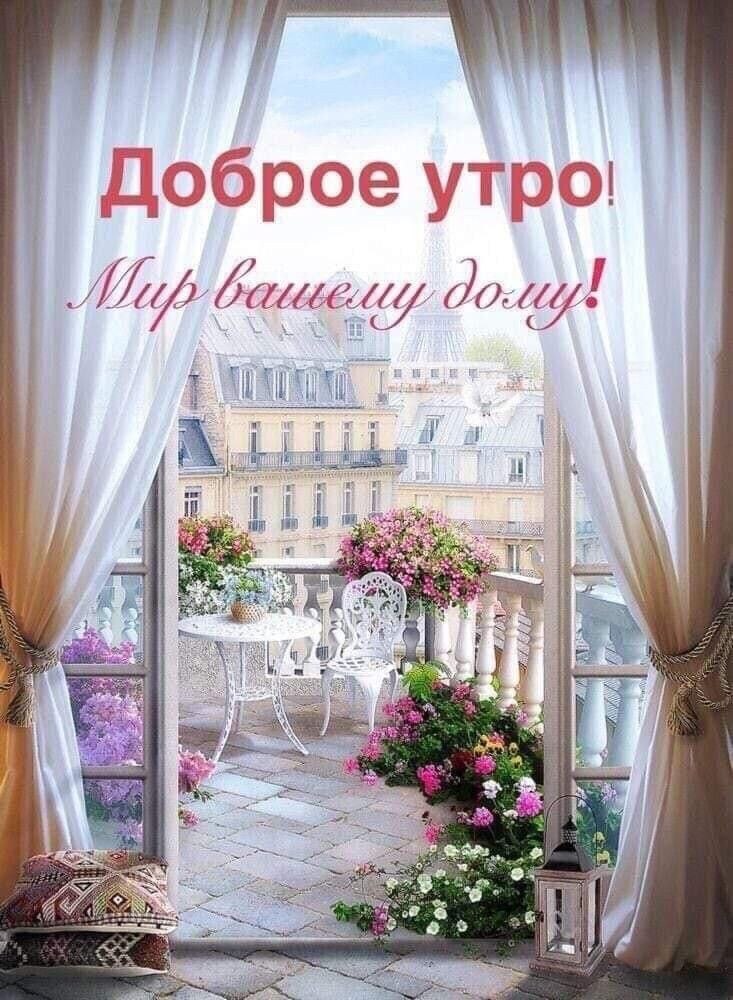   ! - 6  2022  08:50