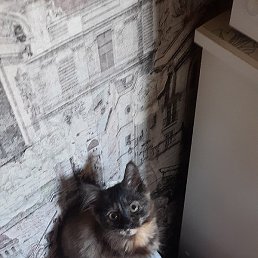 �����, ���������, 30 ���