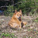 ���� ���������, �����, 67 ��� - ��������� 18 ��� 2022 � ������ ������ ����