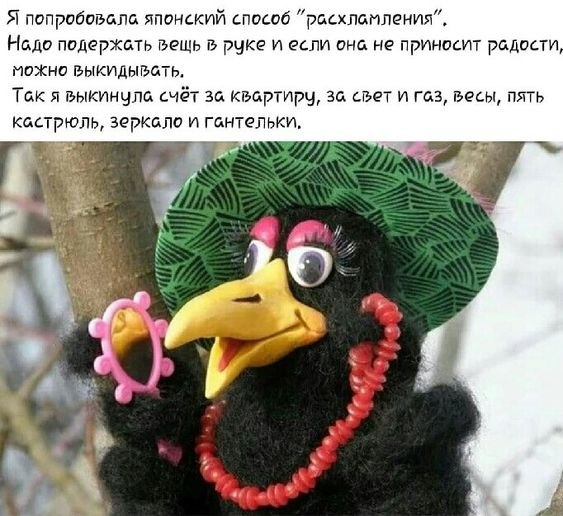   - 22  2022  19:53