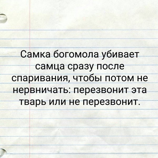 ☆ ☆ - 10  2022  00:26