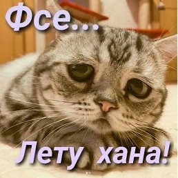 , , 58 