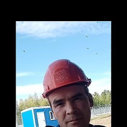 ����, ������, 41 ���