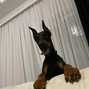 ���� ���, ����������, 38 ��� - ��������� 14 ������� 2023 � ������ ���� ����������