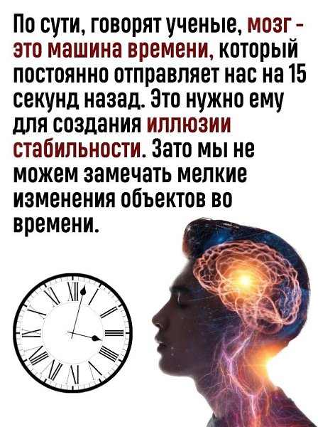 Мозг - это машина времени - 3