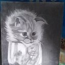  ,  , 51  -  27  2022    